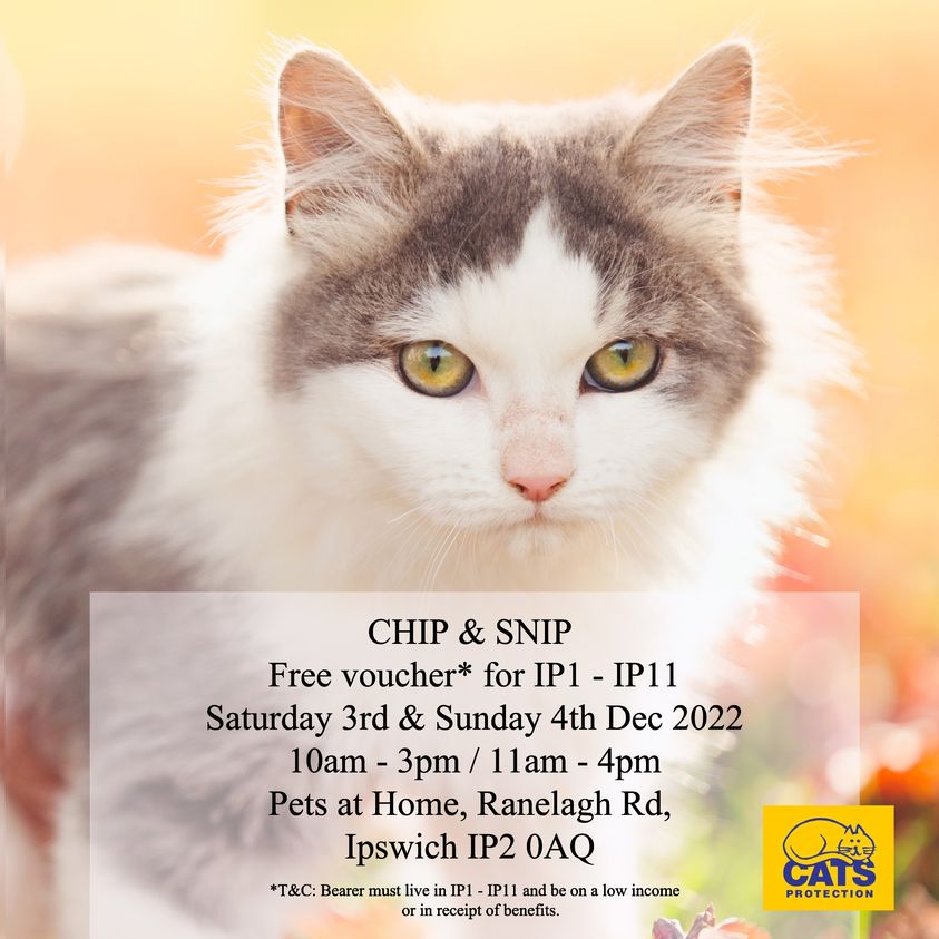 Date For The Diary – ‘Chip & Snip’